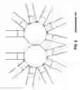 Fig. 06 - Method of making magnetic fluid