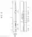 Fig. 13 - Liquid crystal display and method of making the same