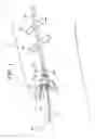 Fig. 02 - Catheter grip