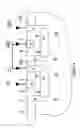 Fig. 05 - Electrostatic discharge protection networks for triple well semiconductor devices