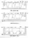 Fig. 02 - Power module package structure