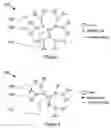 Fig. 02 - Plastic materials including dendrimers or hyperbranched polymers for integrated circuit packaging