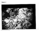 Fig. 02 - Cementititous slab products having antimicrobial properties