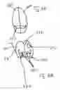 Fig. 04 - Passenger protecting system