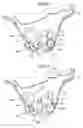 Fig. 06 - Latch device and device for controlling opening/closing of door
