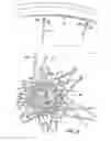 Fig. 09 - Bicycle hub
