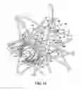 Fig. 10 - Bicycle hub