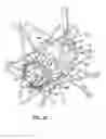 Fig. 23 - Bicycle hub