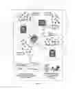 Fig. 08 - System and apparatus of Internet-linked RFID sensor network for object identifying, sensing, monitoring, tracking and networking