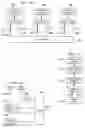 Fig. 09 - Debug event instruction