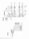 Fig. 07 - Active matrix display device, method for driving the same, and electronic device