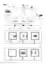 Fig. 02 - Immersive environments with multiple points of view