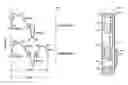 Fig. 01 - Dual drop printing mode using full length waveforms to achieve head drop mass differences