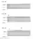 Fig. 05 - Piezoelectric element, actuator device, liquid-jet head and liquid-jet apparatus
