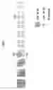 Fig. 08 - Inkjet recording apparatus and method