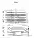 Fig. 06 - Method for driving solid-state imaging device and solid-state imaging device