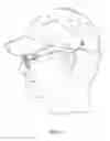 Fig. 02 - Eyewear retention device