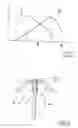 Fig. 06 - Photo radiation intensity sensor and method thereof