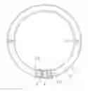 Fig. 01 - Light with a ring structure for a vehicle lamp