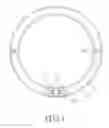 Fig. 02 - Light with a ring structure for a vehicle lamp