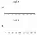 Fig. 04 - Flat fluorescent lamp and backlight unit having the same