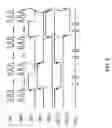 Fig. 06 - Input/output line sharing apparatus of semiconductor memory device