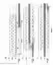 Fig. 09 - Serial peripheral interface memory device with an accelerated parallel mode