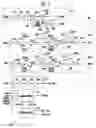 Fig. 04 - Pseudo SRAM capable of operating in continuous burst mode and method of controlling burst mode operation thereof