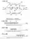 Fig. 12 - Radio ad hoc communication system, terminal, processing method in the terminal, and program causing the terminal to execute the method