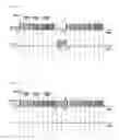 Fig. 13 - Communication apparatus enabling temporal coexistence of systems