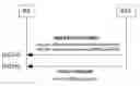 Fig. 01 - Method and equipment for indicating and MBMS assignment via common control channel