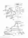 Fig. 02 - Packet data communications