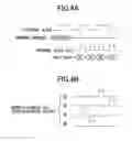 Fig. 06 - Data input circuit and semiconductor device utilizing data input circuit