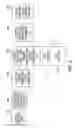 Fig. 03 - Methods, systems, and storage media for data encapsulation in networks