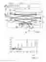Fig. 02 - Method and radiation source for generating pulsed coherent radiation
