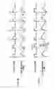 Fig. 04 - Apparatus for measuring jitter and method of measuring jitter