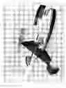 Fig. 16 - Vessel scanning system