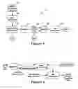 Fig. 04 - Encryption system
