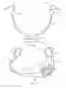 Fig. 02 - Personal Electronic Audio Device with Flexible Supporting Conduit Structure