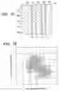 Fig. 11 - Method and apparatus for circuit pattern inspection