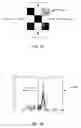 Fig. 18 - Preprocessing for information pattern analysis