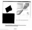 Fig. 37 - System and method for identifying objects of interest in image data