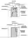 Fig. 07 - Radiation area extracting method and image processing apparatus