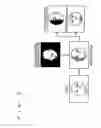 Fig. 03 - Apparatus and method for performing facial recognition from arbitrary viewing angles by texturing a 3D model