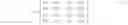 Fig. 04 - Accelerated image rendering