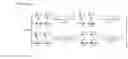 Fig. 02 - Adaptive directional edge-preserving false contour filtering
