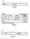 Fig. 31 - Information recording method, information recording medium, and information reproducing method, wherein information is stored on a data recording portion and a management information recording portion