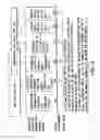 Fig. 16 - Information recording method, information recording medium, and information reproducing method, wherein information is stored on a data recording portion and a management information recording portion