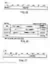 Fig. 31 - Information recording method, information recording medium, and information reproducing method, wherein information is stored on a data recording portion and a management information recording portion