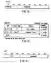 Fig. 31 - Information recording method, information recording medium, and information reproducing method, wherein information is stored on a data recording portion and a management information recording portion
